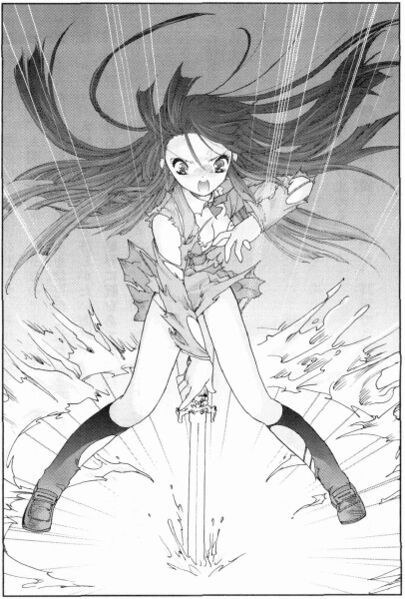 File:Kaze no Stigma vol 01 269.jpg