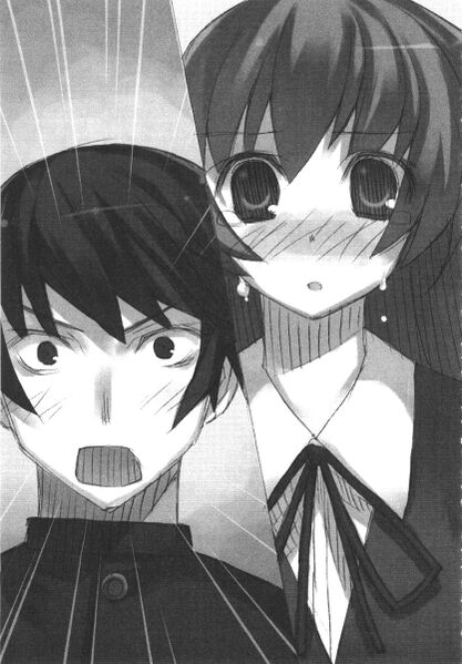 Light Novel Translation