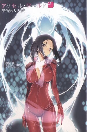 Accel World v14 001.jpg