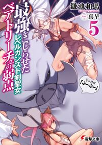 BooBoo v05 cover.jpg