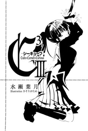 C3 03-f.jpg