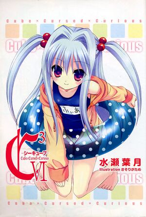 C3 06-001.jpg