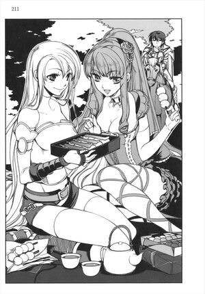 DDYD v12 pg211.jpeg