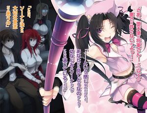 DX.4 Illustration 1.jpg