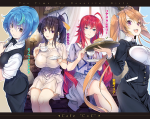 DxD Dx6 illustration 2.webp