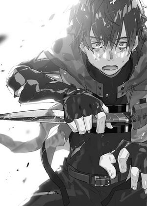 Grimgar Vol 11e.jpg