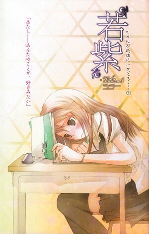 Hikaru3-002.jpg