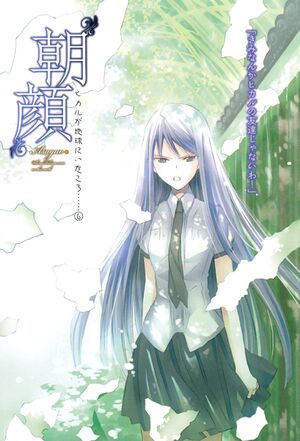 Hikaru6-000-A.jpg
