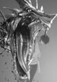 Thumbnail for version as of 16:53, 3 May 2013
