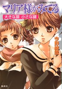 MM v25 cover.jpg