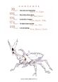 Thumbnail for version as of 03:34, 5 April 2013