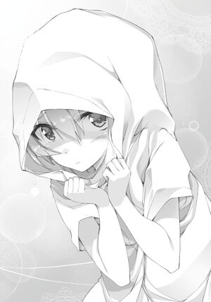 Rakudai V8 P137.jpg