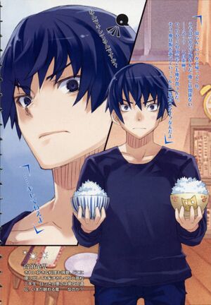Toradora vol01 illustration 02.jpg