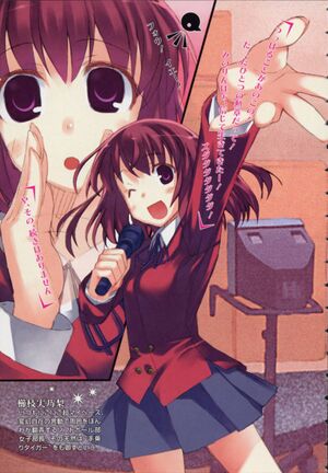 Toradora vol01 illustration 03.jpg