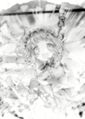 Thumbnail for version as of 08:35, 15 November 2016