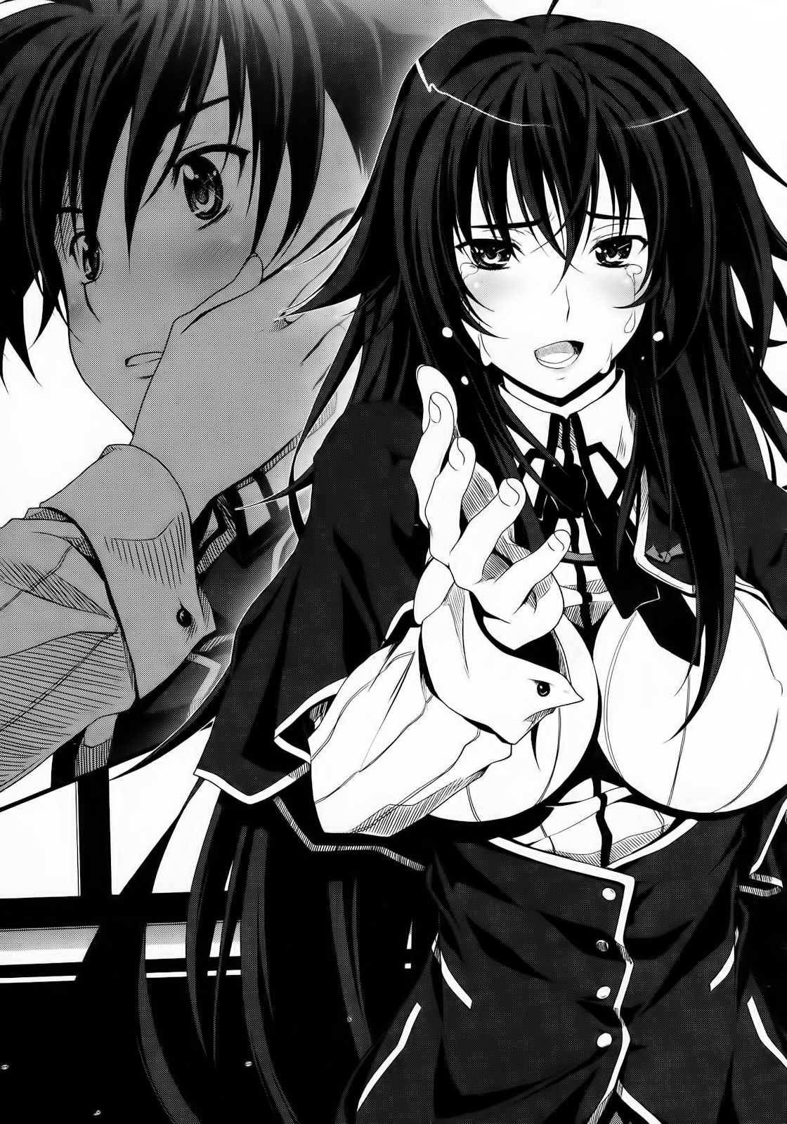 Highschool dxd, Dxd, Light novel