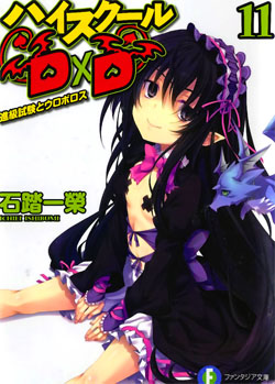 High School DxD Vol 11 Med.jpg