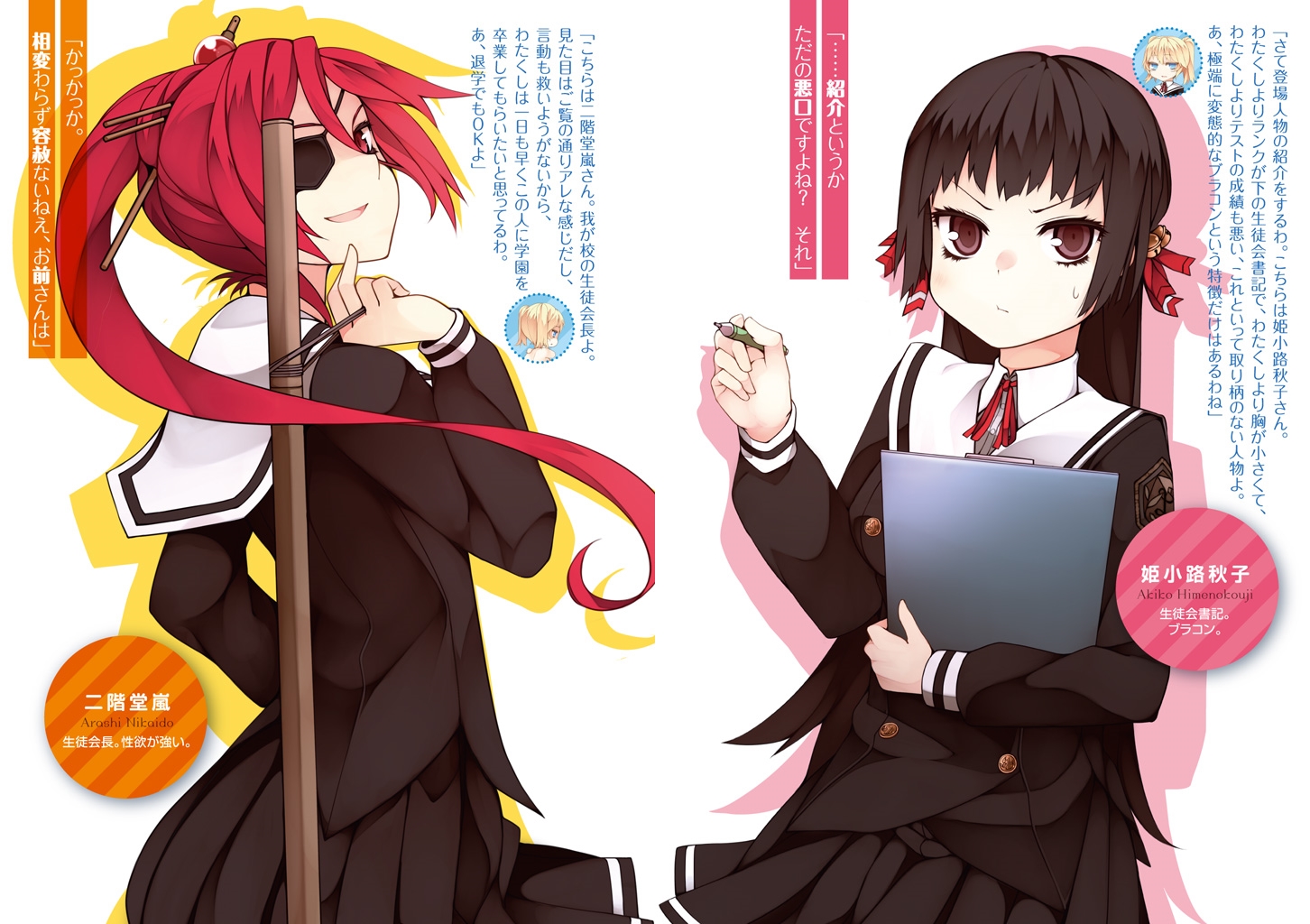 Color Insert 1