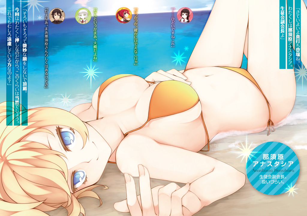Color Insert 3