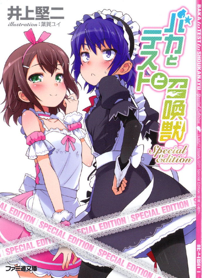 Baka to Tesuto to Syokanju:Volume9.5 - Baka-Tsuki