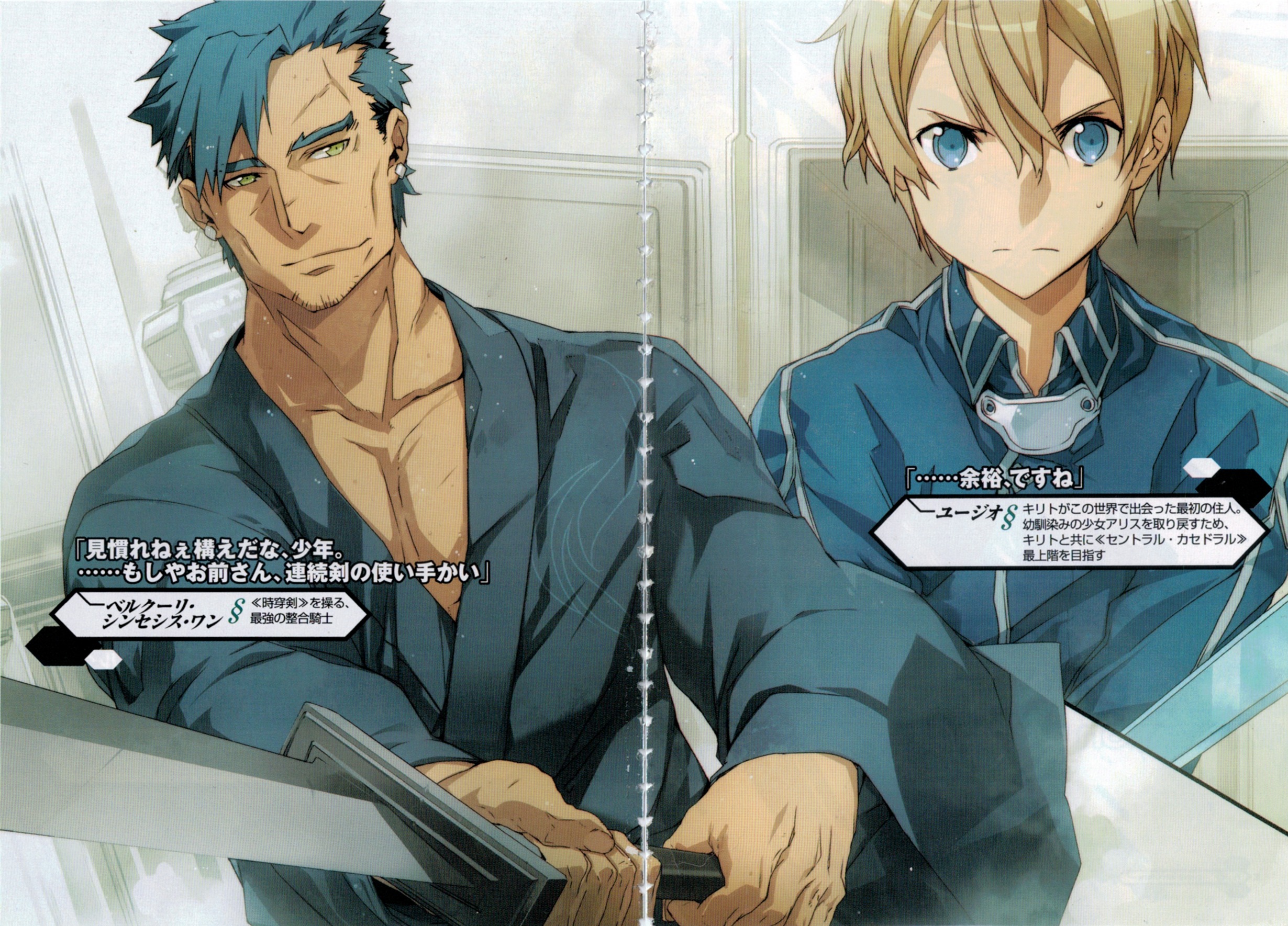 Sword Art Online Volume 13