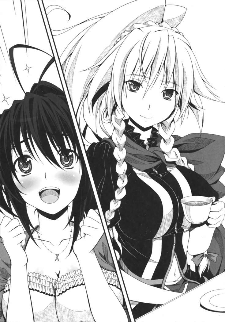 High school dxd light novel english