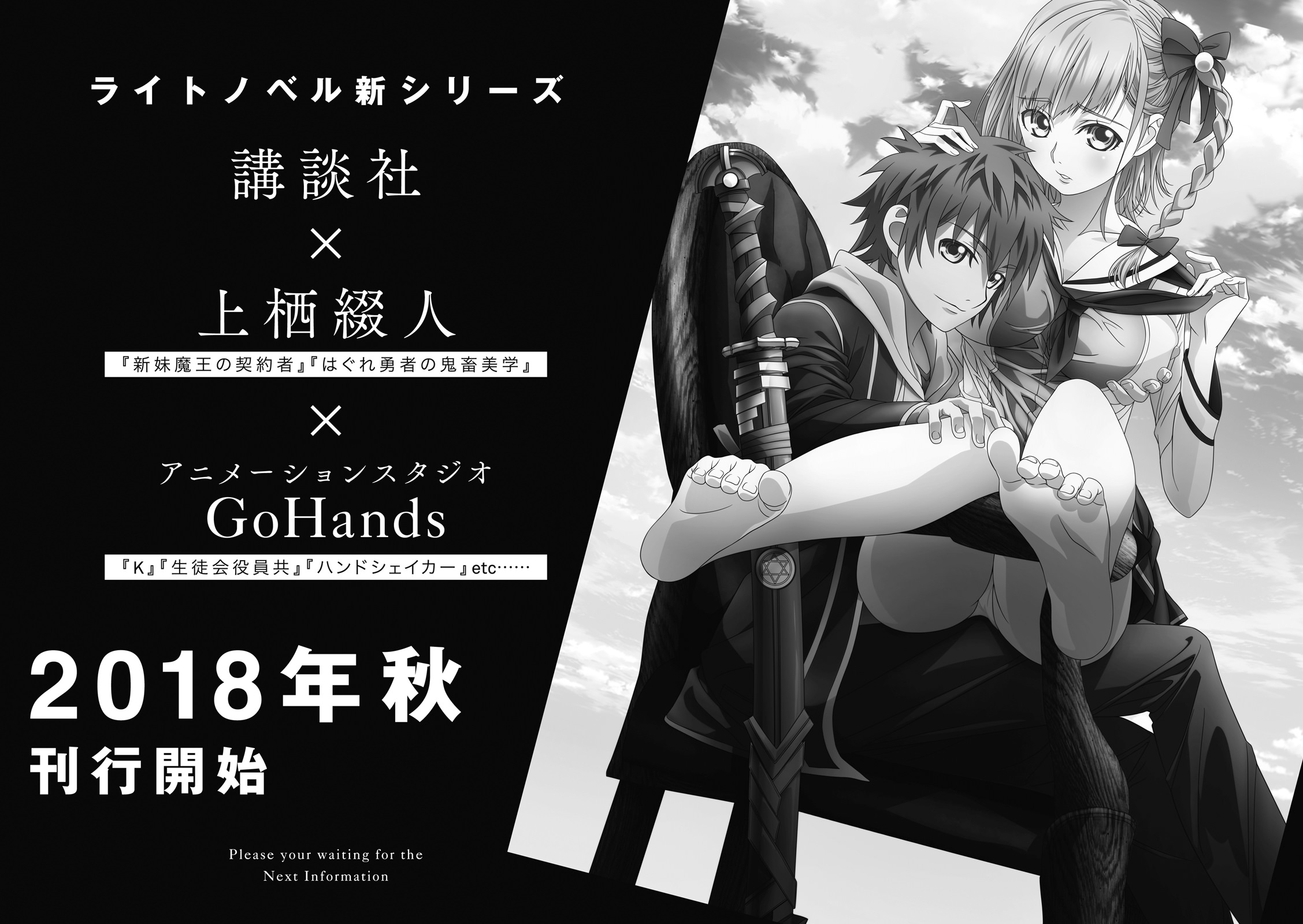 Shinmai testament light novel