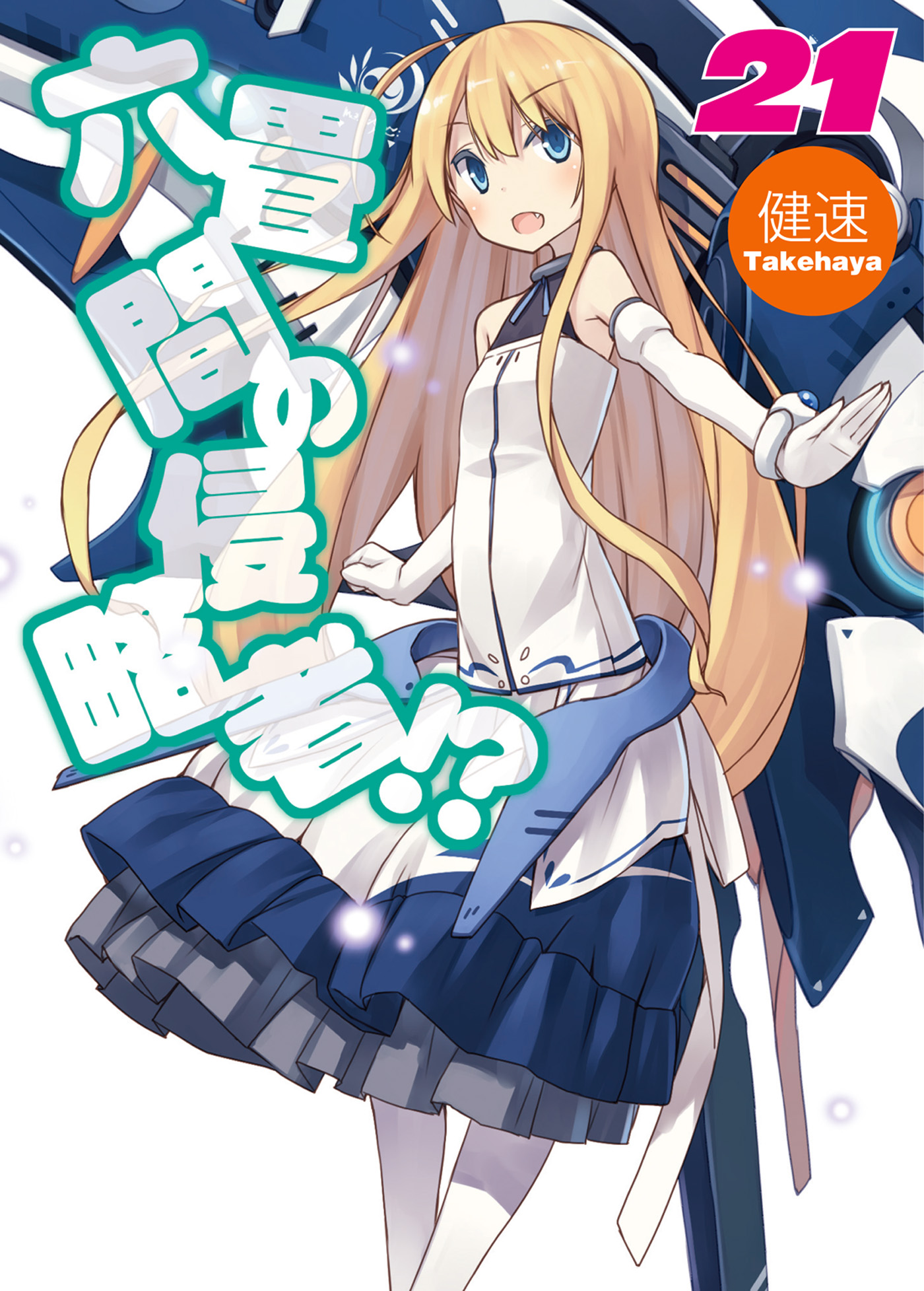 Light Novel Volume 21/Novel Illustrations