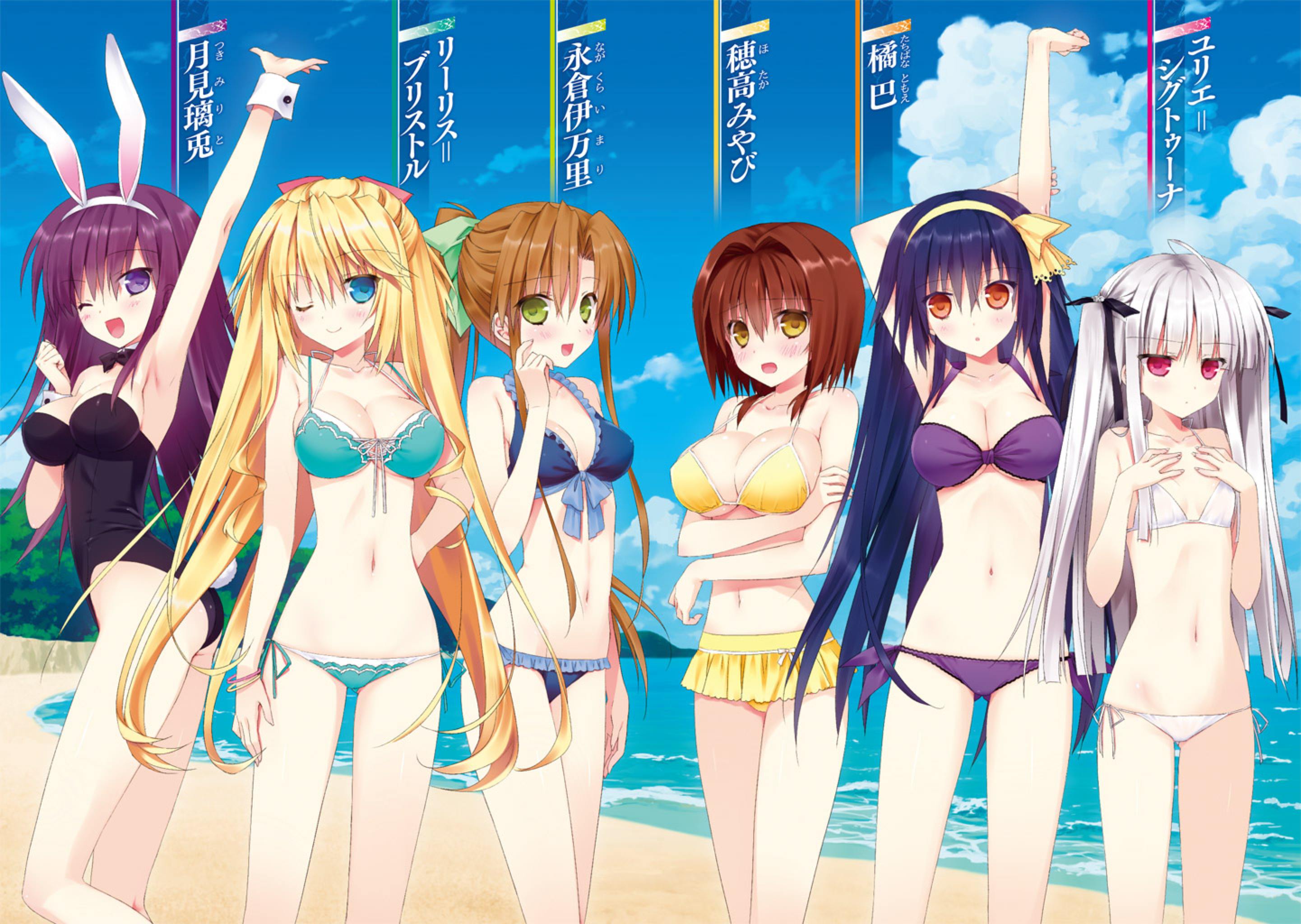 File:Absolute Duo Volume 2 Colour 3.jpg - Baka-Tsuki