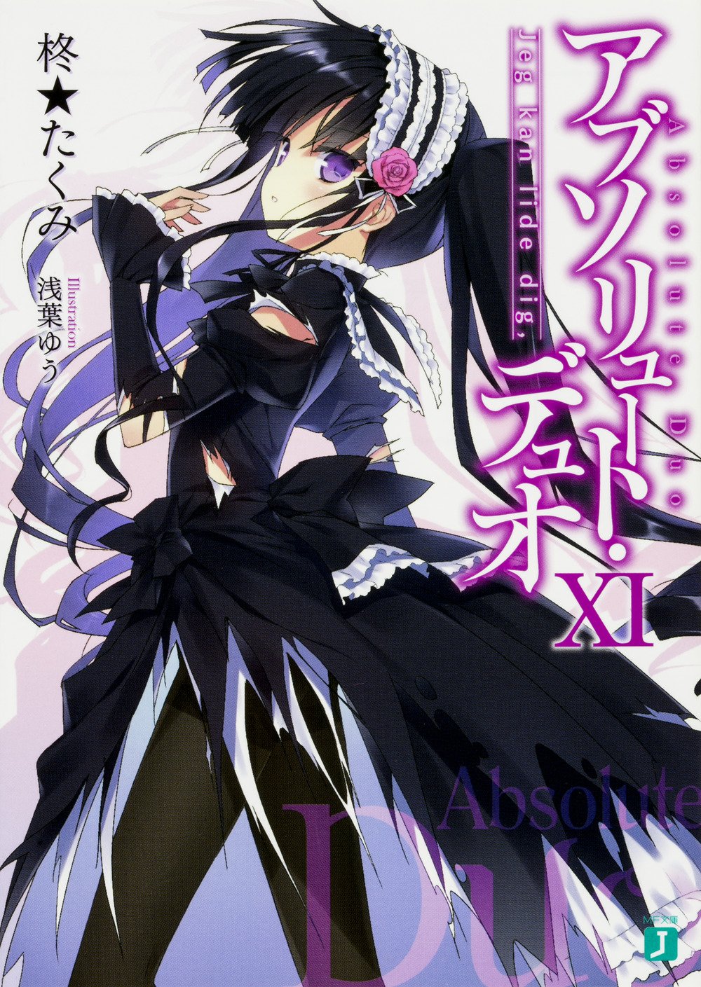 Absolute duo 11