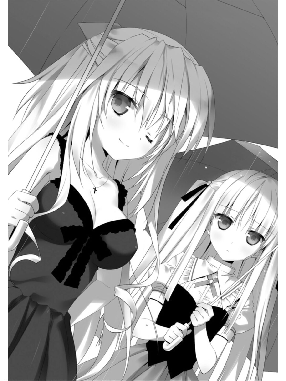 Absolute Duo  Light Novel 