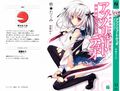 Absolute Duo Volume 1 Cover.jpg