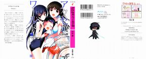 Accel World v10 000.jpg