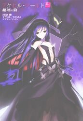 Accel World v11 001.jpg