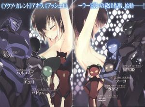 Accel World v14 002-003.jpg