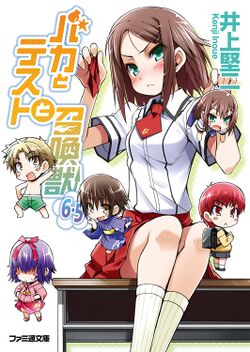 Baka to Tesuto to Syokanju:Volume9.5 - Baka-Tsuki