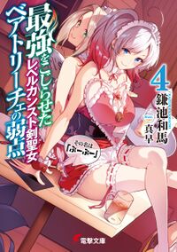 BooBoo v04 cover.jpg