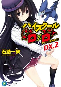 Cover High School DxD Volume Dx2.jpg