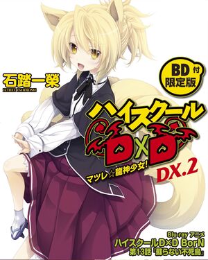 Cover Limited High School DxD Volume Dx2.jpg