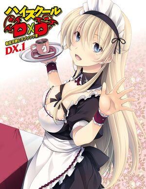 DxD Dx1 003.jpg