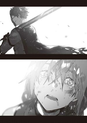 Grimgar Vol 14++ (11).jpg