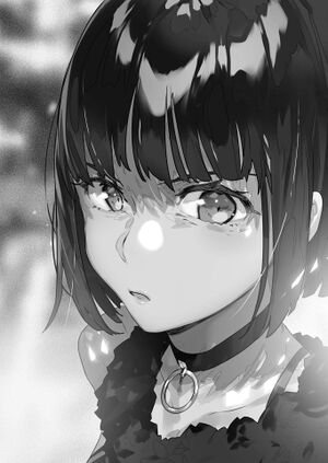Grimgar Vol 14 (9).jpg