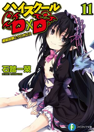 HSDxD v11 cover.jpg