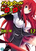 HSDxD v12 cover.jpg