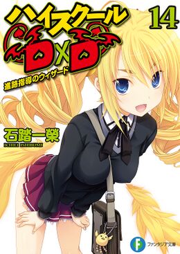 HSDxD v14 cover.jpg