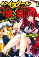 High School DxD Vol 1 Med.jpg