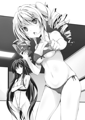 High school DxD Volume 19 Page 63.png