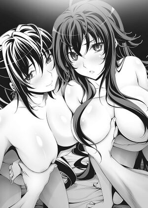 High school DxD Volume 22 illustration 1.jpg