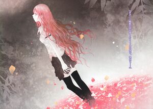 Hikaru4-000-4.jpg