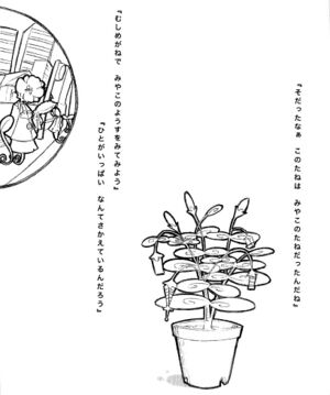 Jintai Volume 3 312.jpg